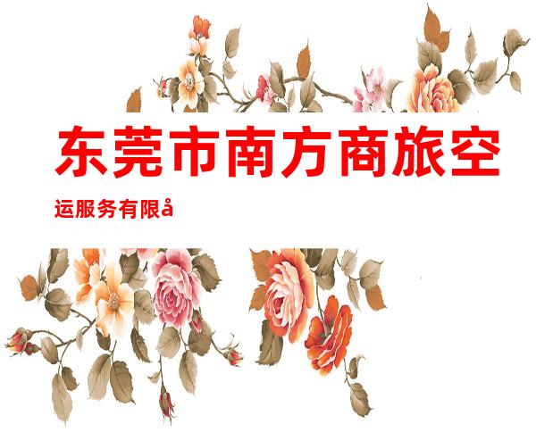 东莞市南方商旅空运服务有限公司