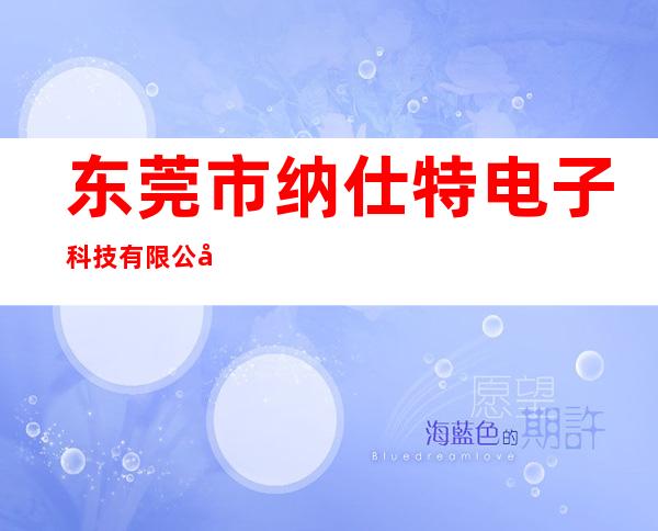 东莞市纳仕特电子科技有限公司