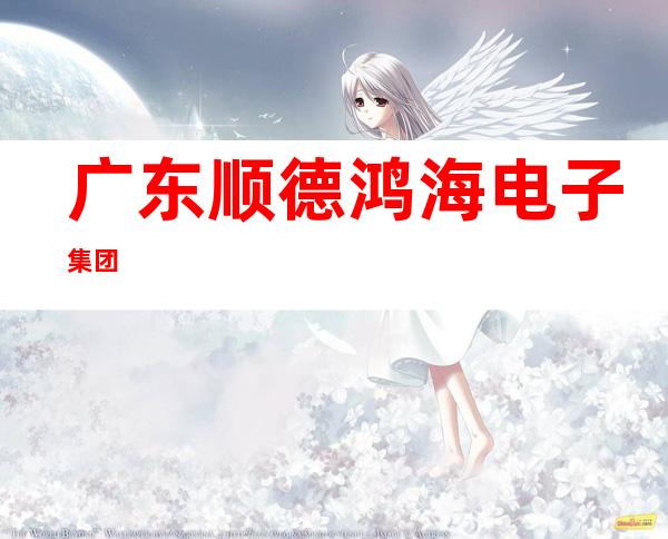 广东顺德鸿海电子集团